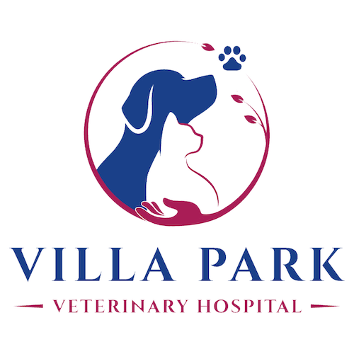 Villa Park Veterinary Hospital - Villa Park Veterinarians